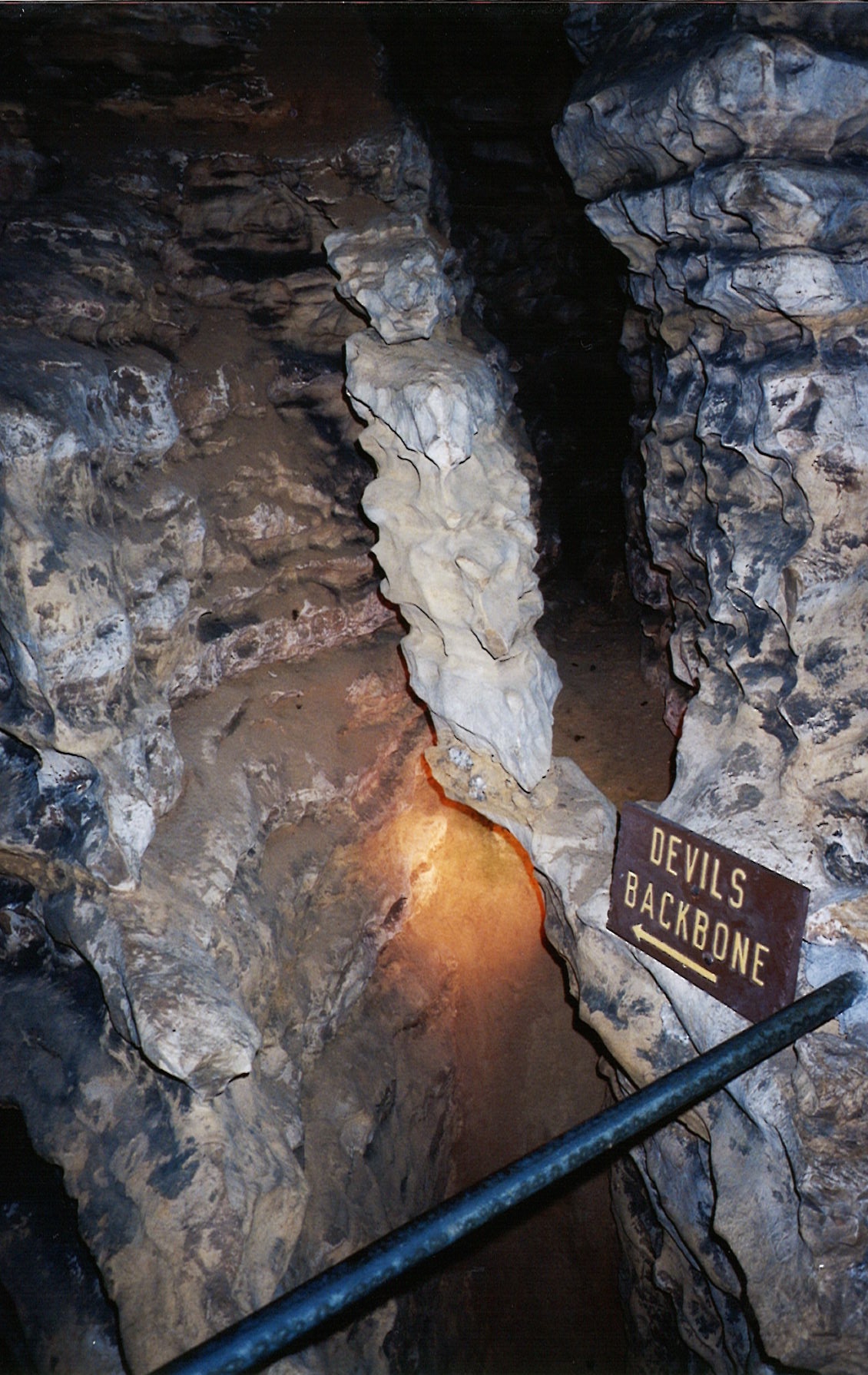 Types of bats picture